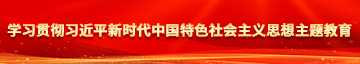 男人JJ插入女人的屄里学习贯彻习近平新时代中国特色社会主义思想主题教育